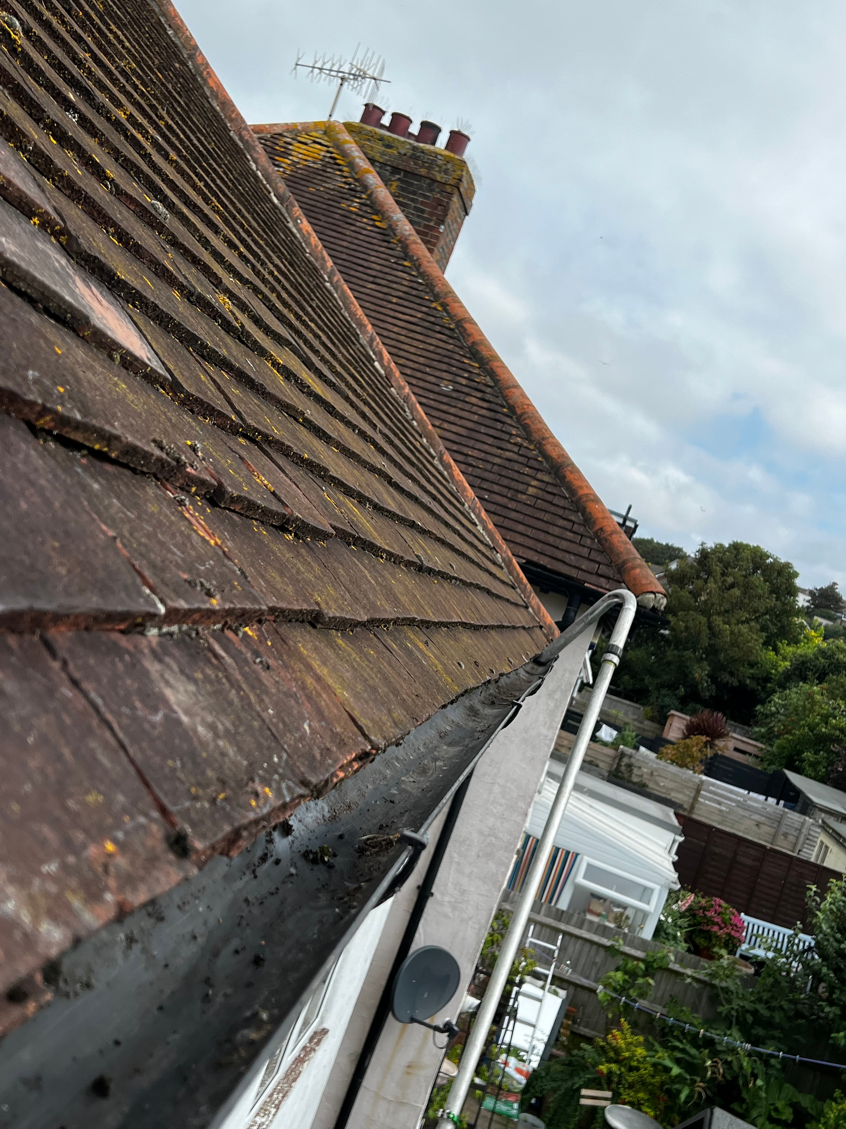 Moss-covered roof gutter being cleaned in Sussex